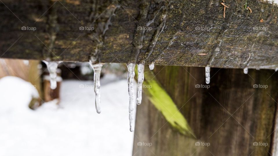 icicles 