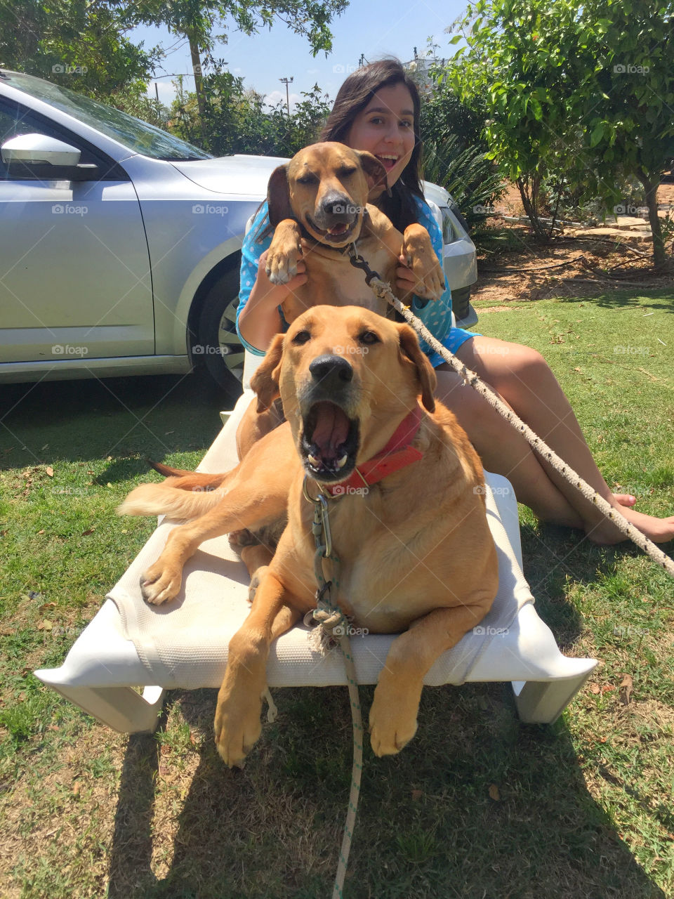 Woman sitting with dog on chair