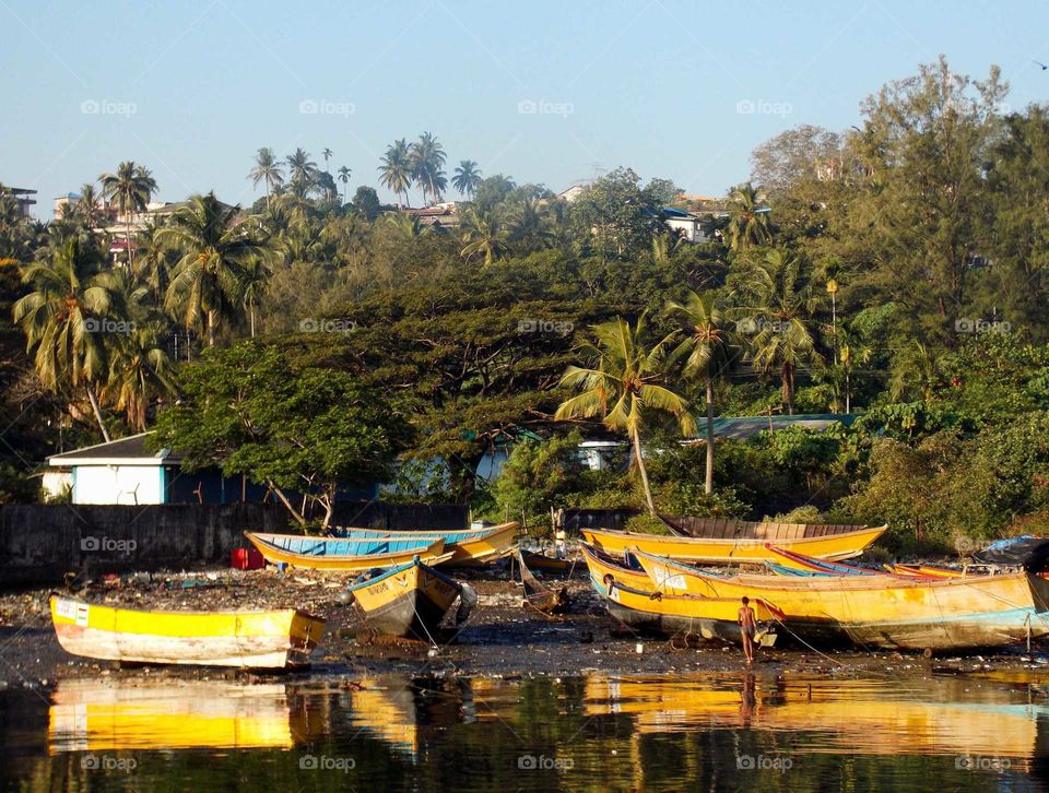 kerala, India Morning scene at river