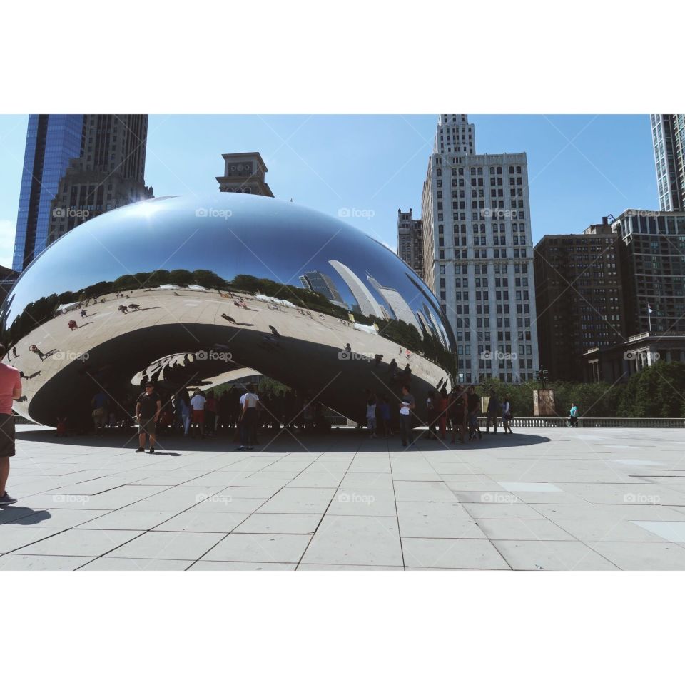 Huge bean in the city!