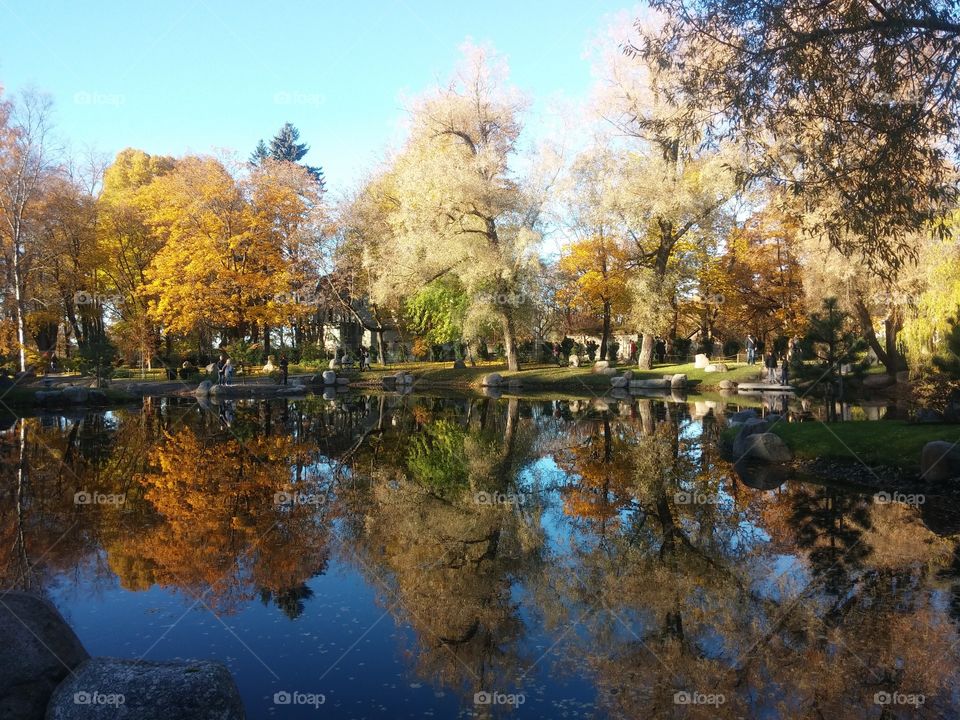 Autumn in Kadriorg park, Tallinn. Water reflection.
