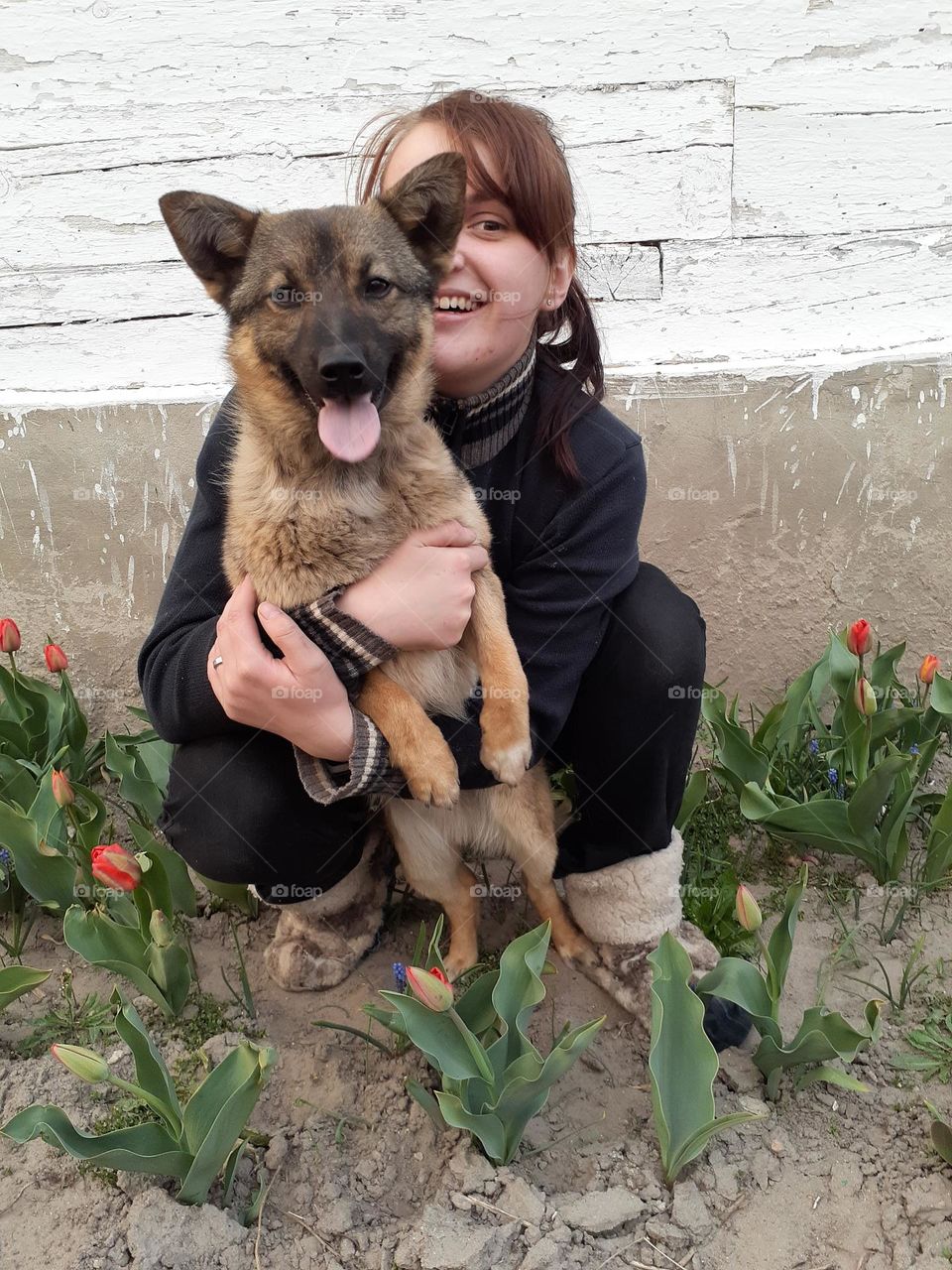 Photo of a domestic dog in a flower bed