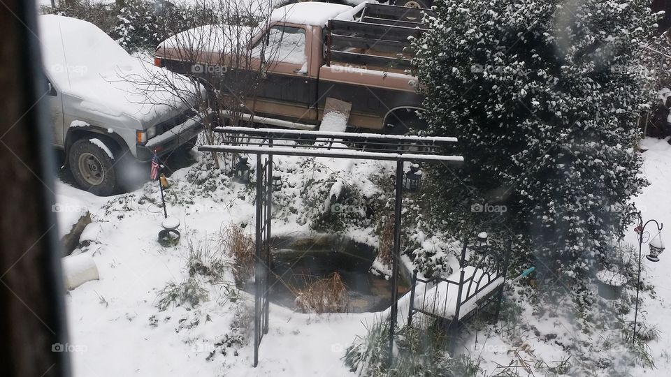 Snow on the Pond