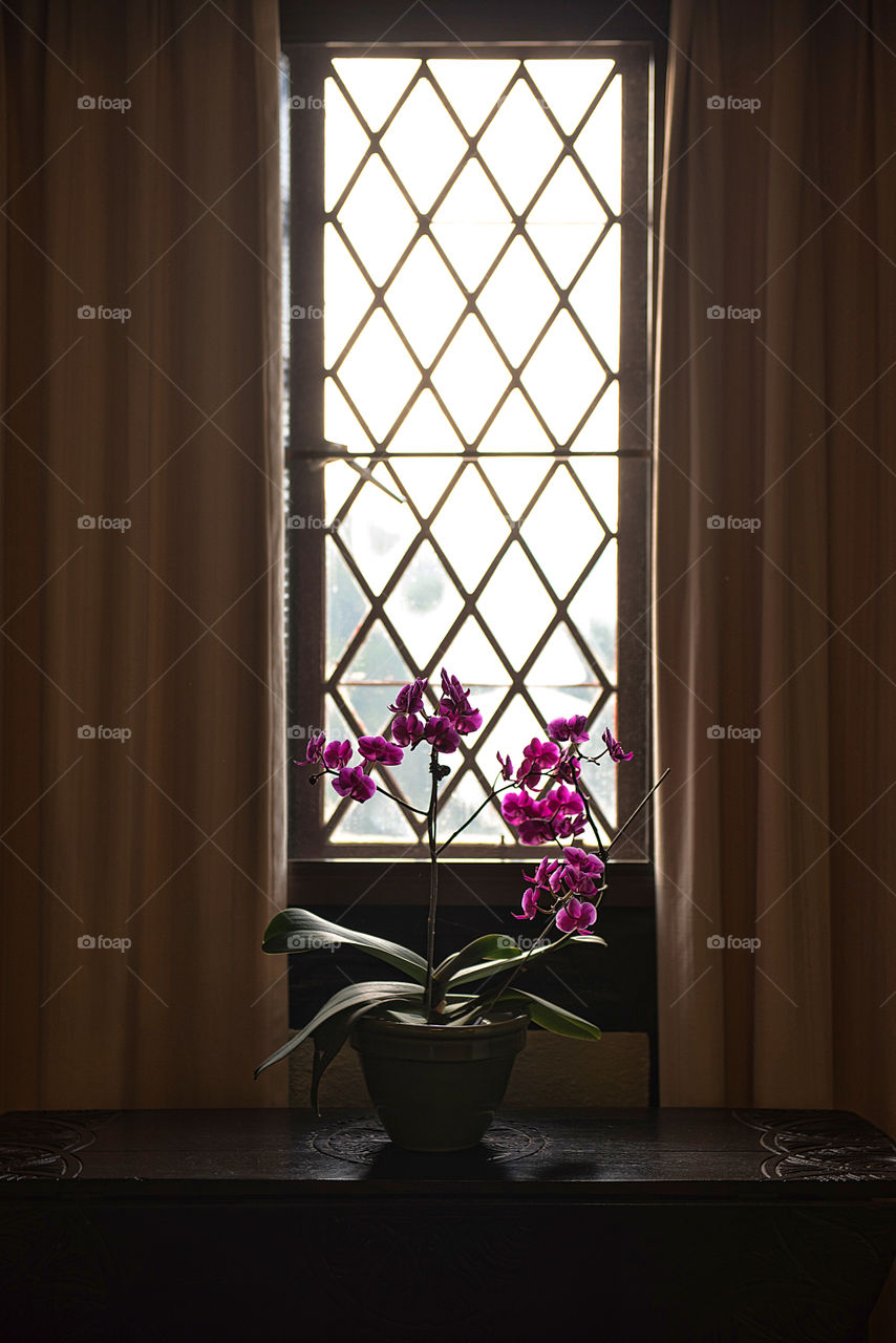 flower window