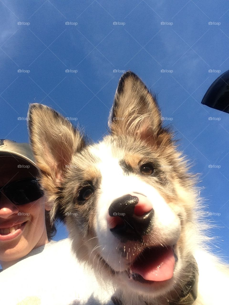 Puppy Selfie.
