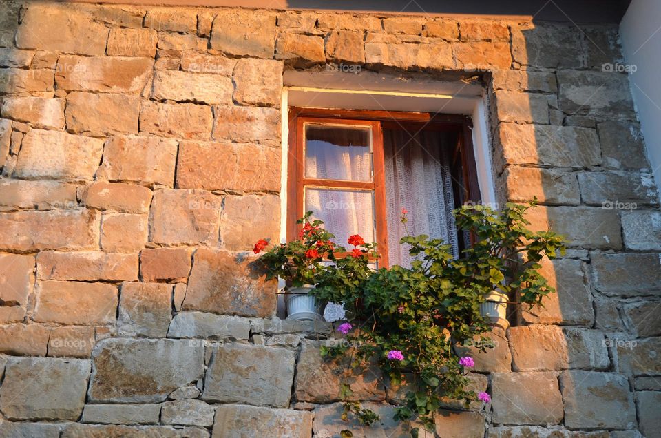 Beautiful House decoration with Plants and Flowers in Bulgaria