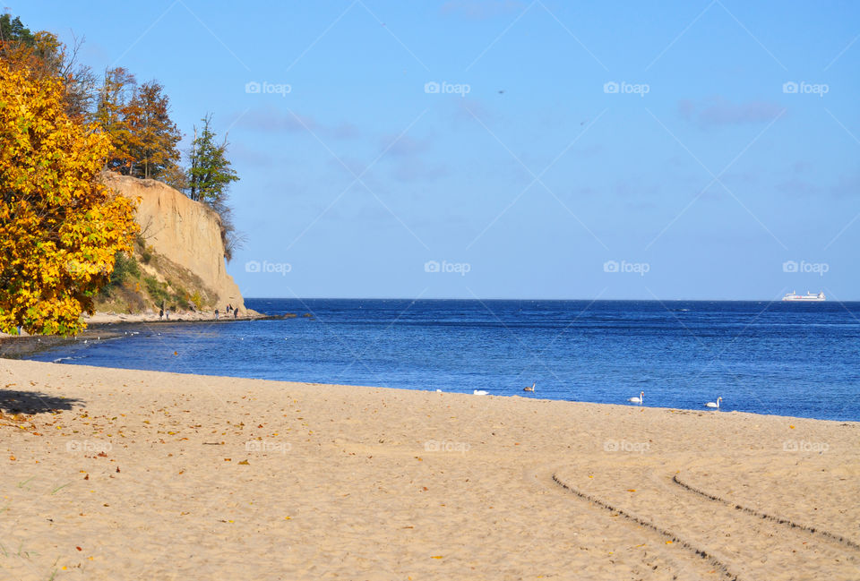 Amazing beach in October . Baltic Sea 