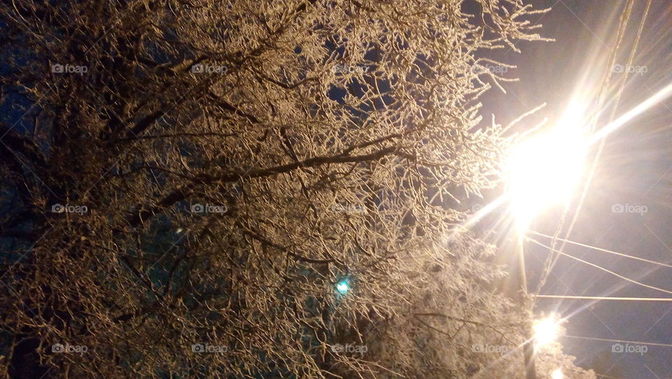 silver thaw. first frost