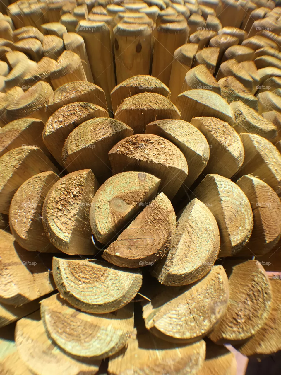Wood