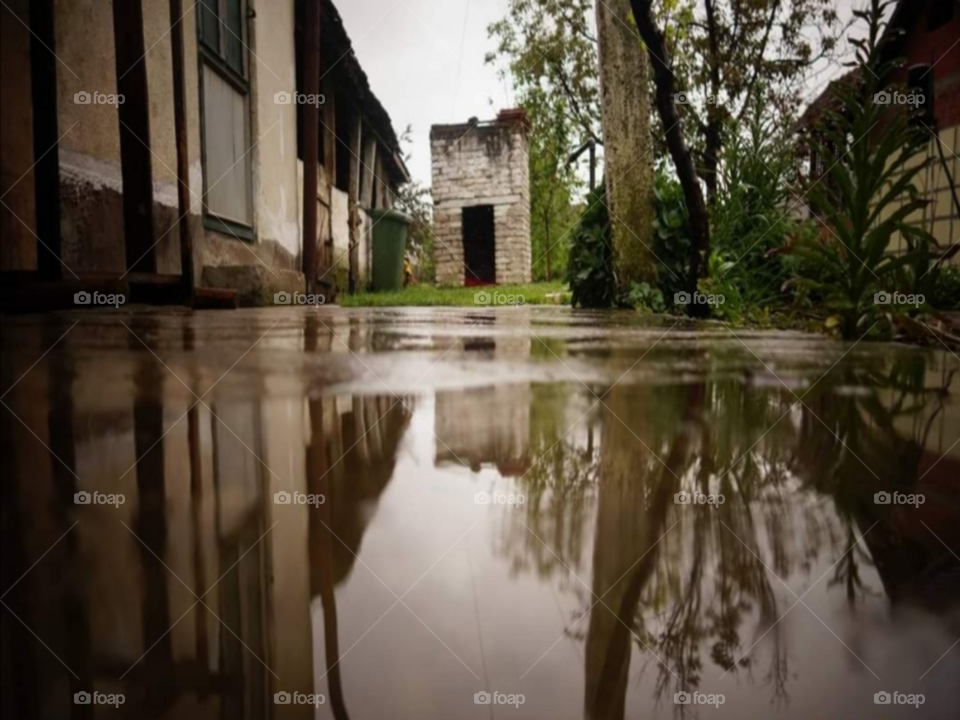 In the countryside after the rain