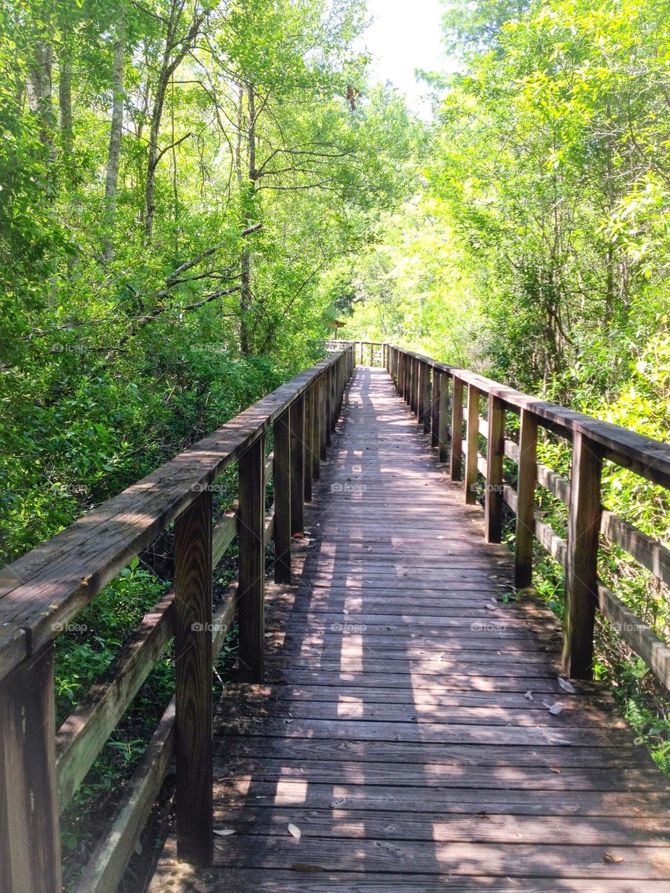 Path of a bridge