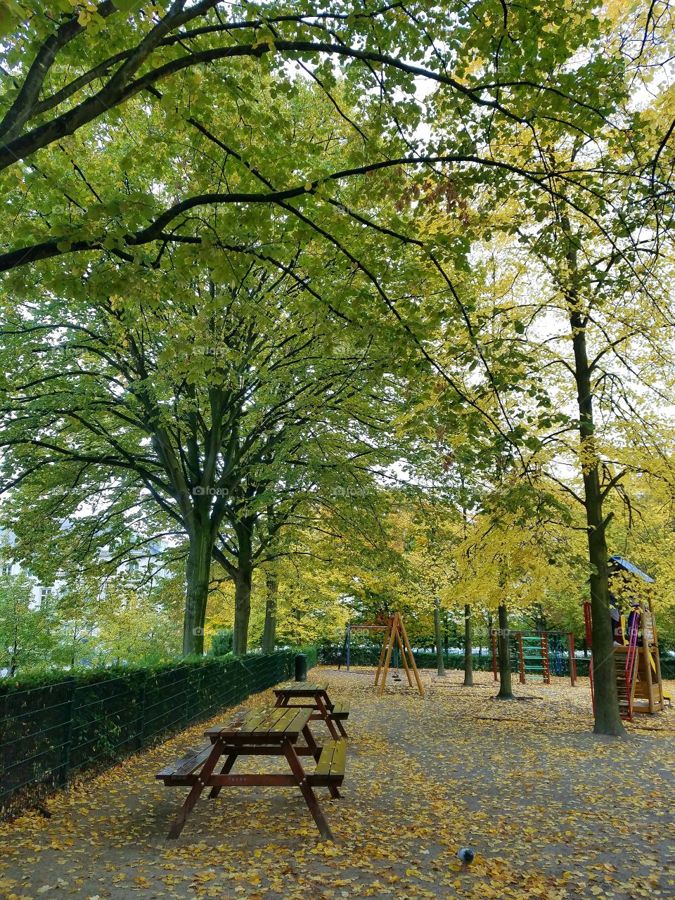 Park in the Fall