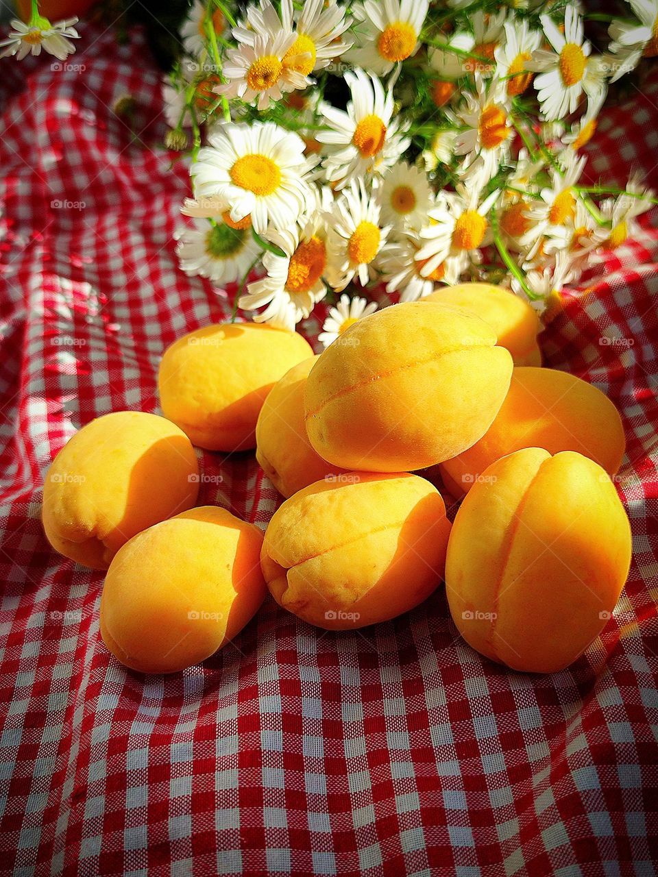 Apricot Explosion.  Juicy honey yellow apricots lie on a red-checked shirt.  In the background lies a bouquet of field daisies