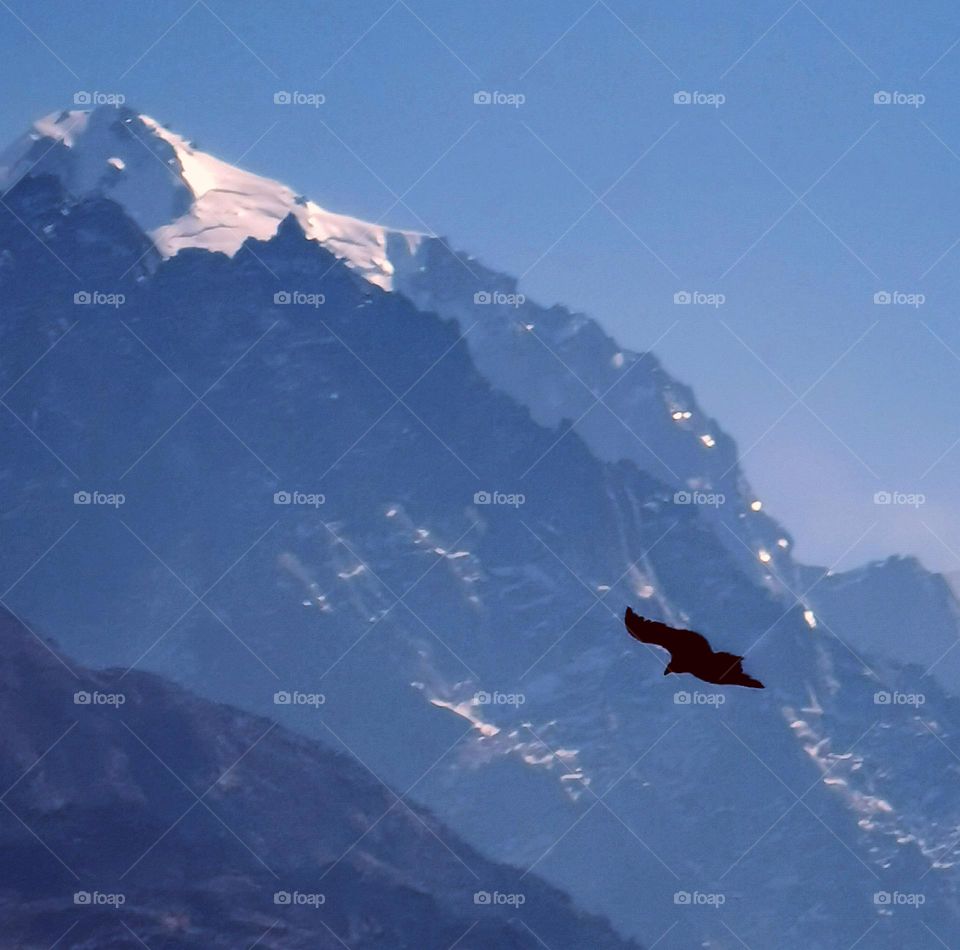 don't limit yourself;fly high