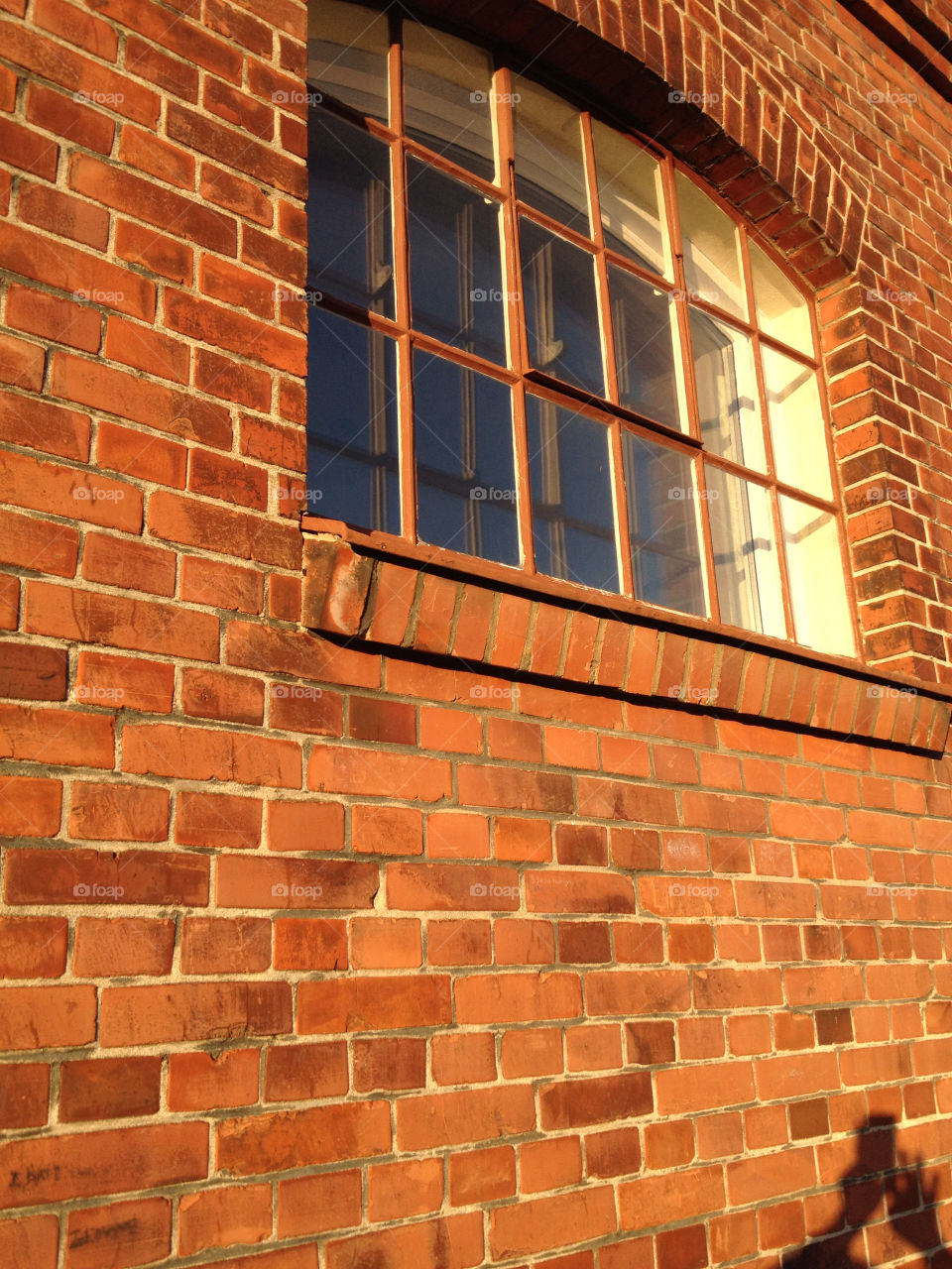 red window housewall by liselott