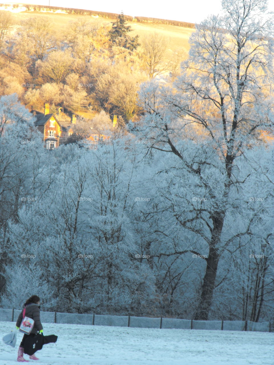 A winter scene, Wales