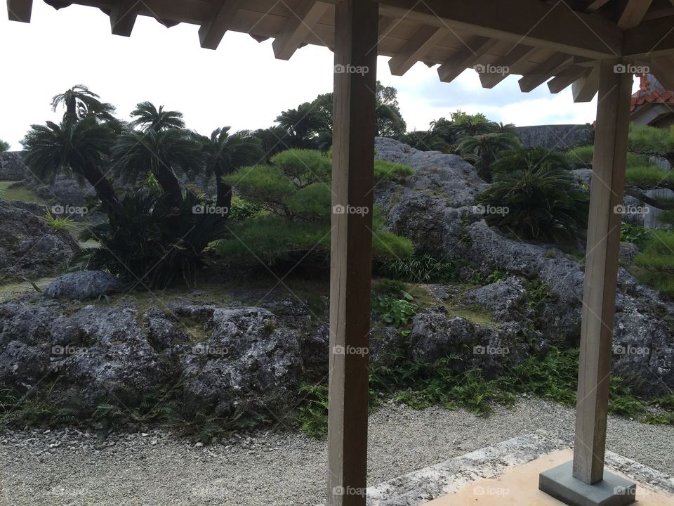 Temple Garden, Okinawa, Japan. From the inside of a museum a replica of a Japanese home, the outdoors feature a beautiful Okinawan tropical garden. 
