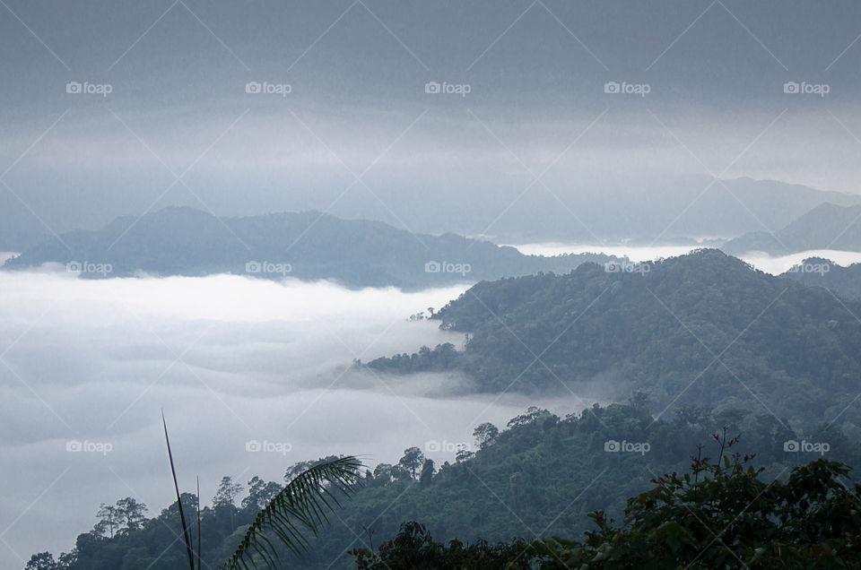 Sea of mist on the mountain.