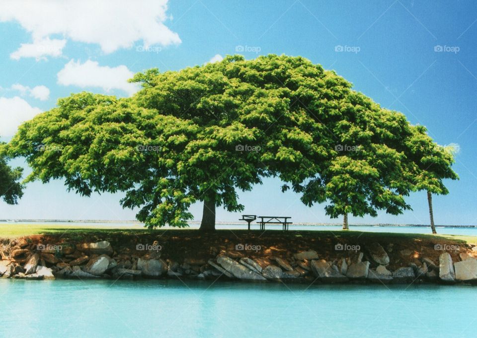 Picnic on the beach