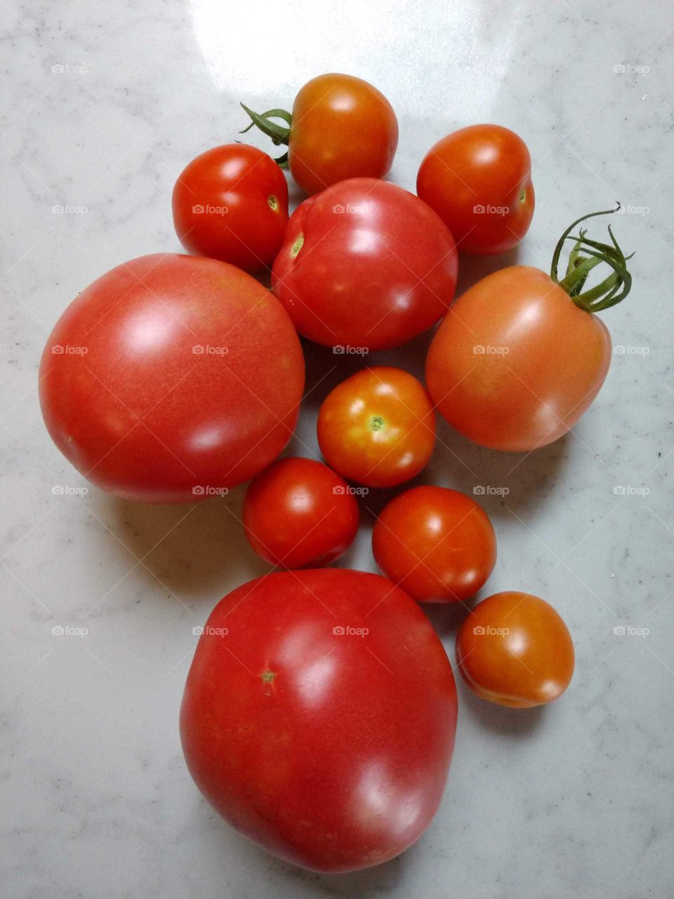 tomatoes