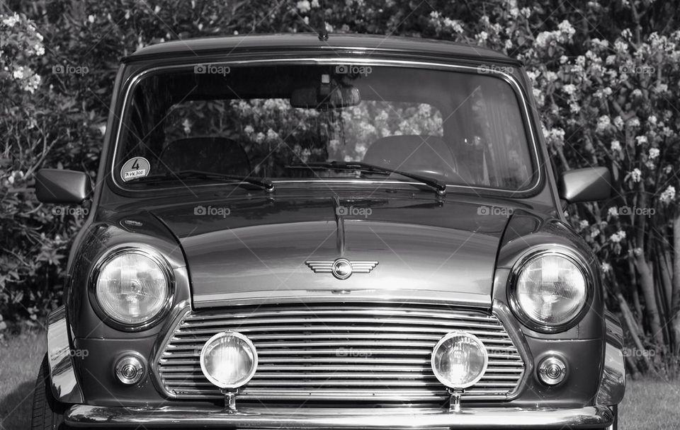 Mini in Black and white