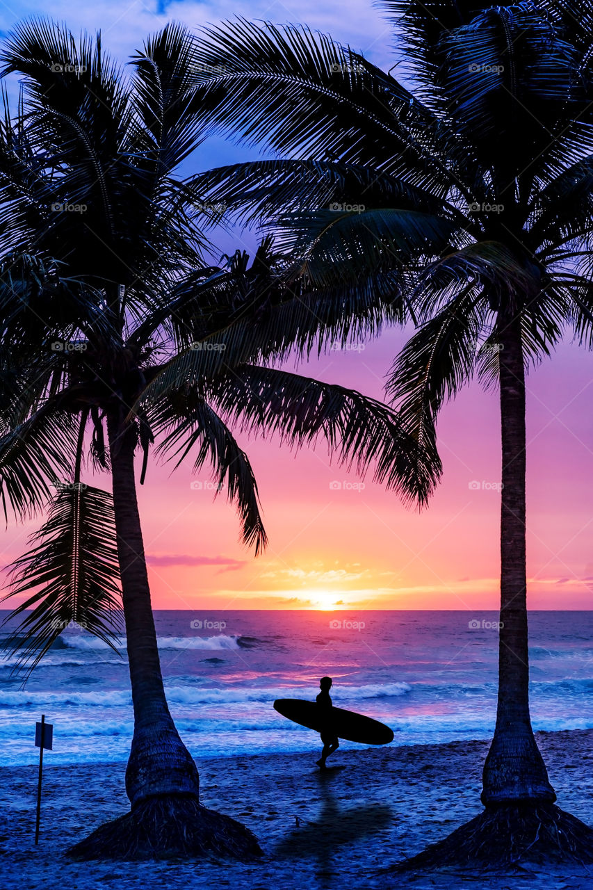 Beach, Palm, Tropical, Ocean, Sun