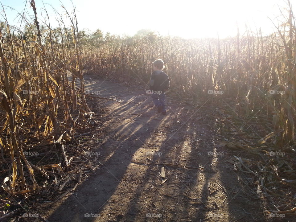 Lost Boy. A boy tries to find his way through a corn maze.