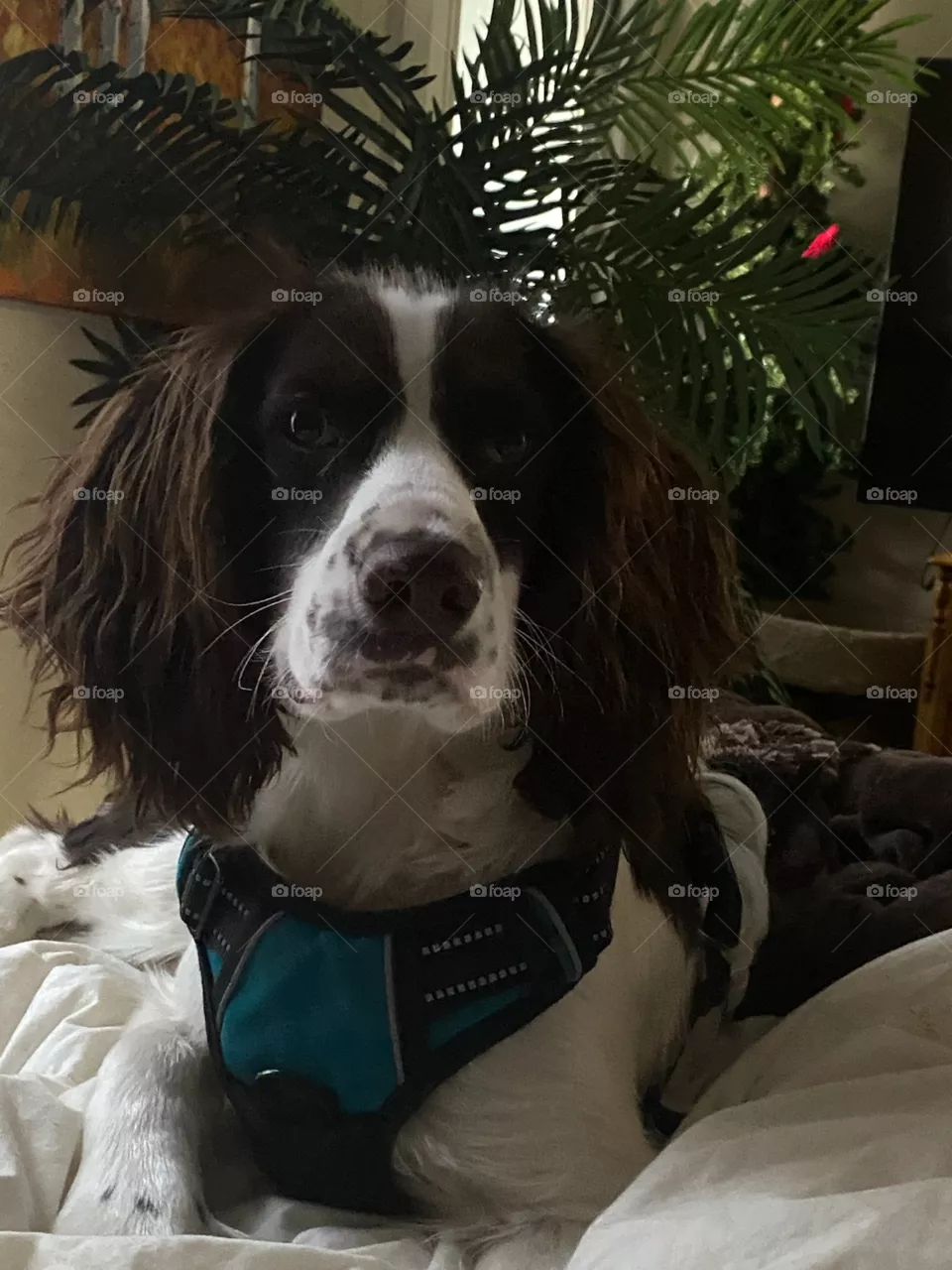 Baby turns 8 months