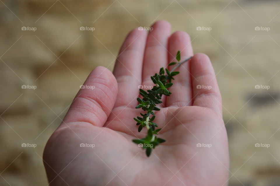 Holding food