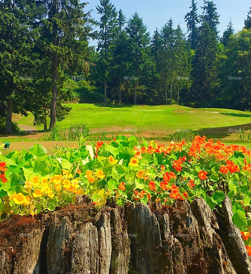 Port Ludlow Golf Course, Hole #6