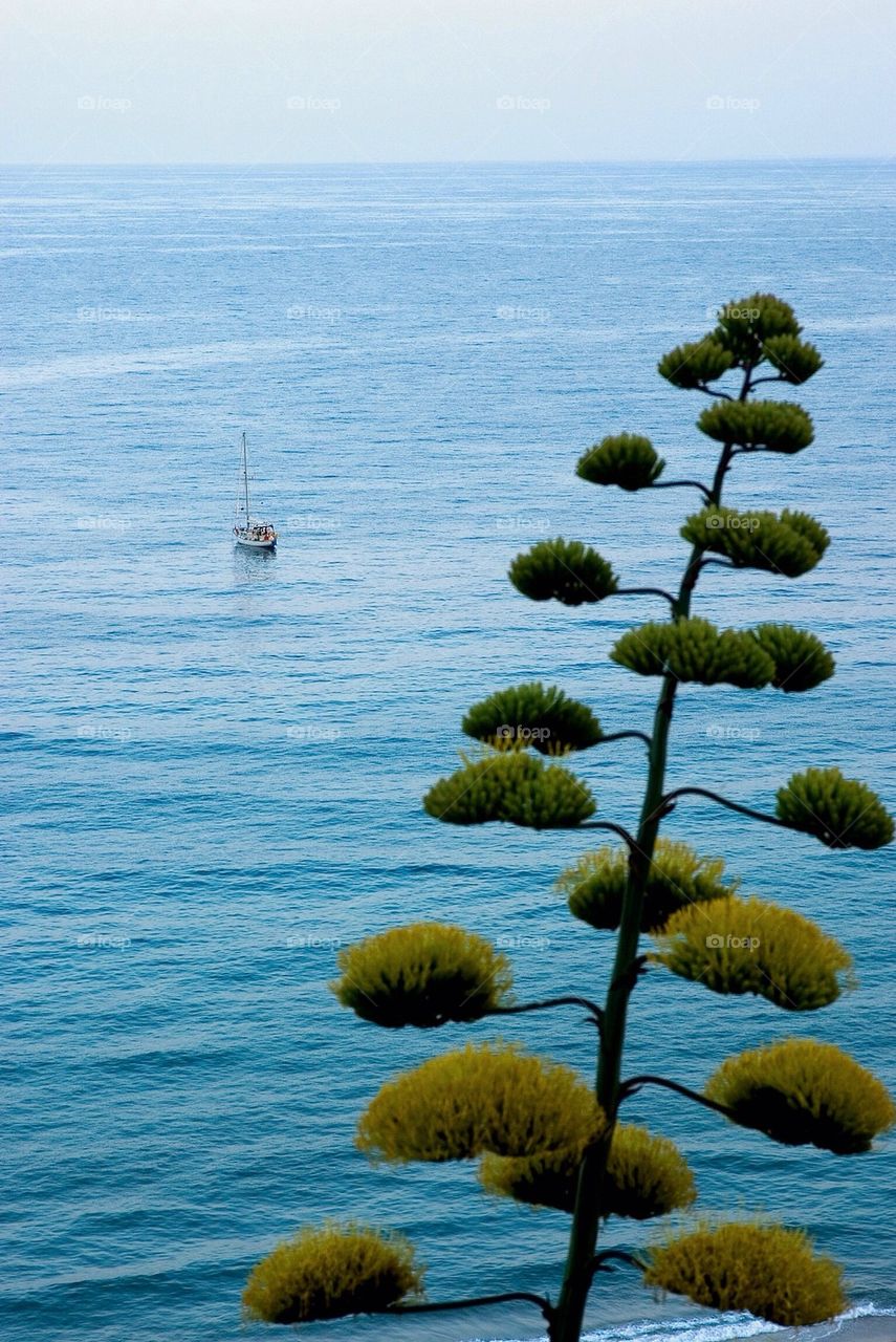 Seascape Spain