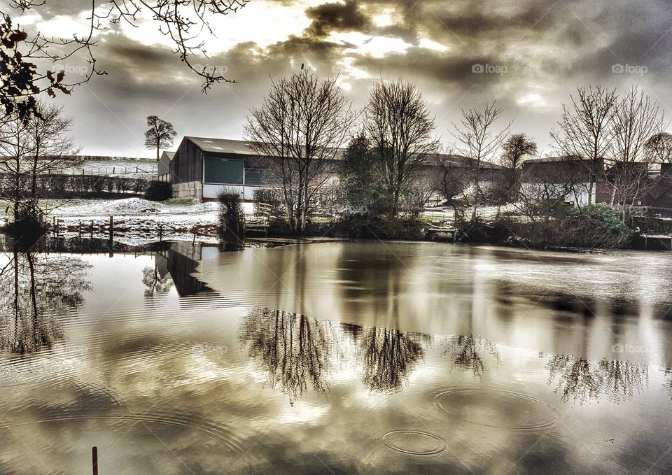 Farm with pond