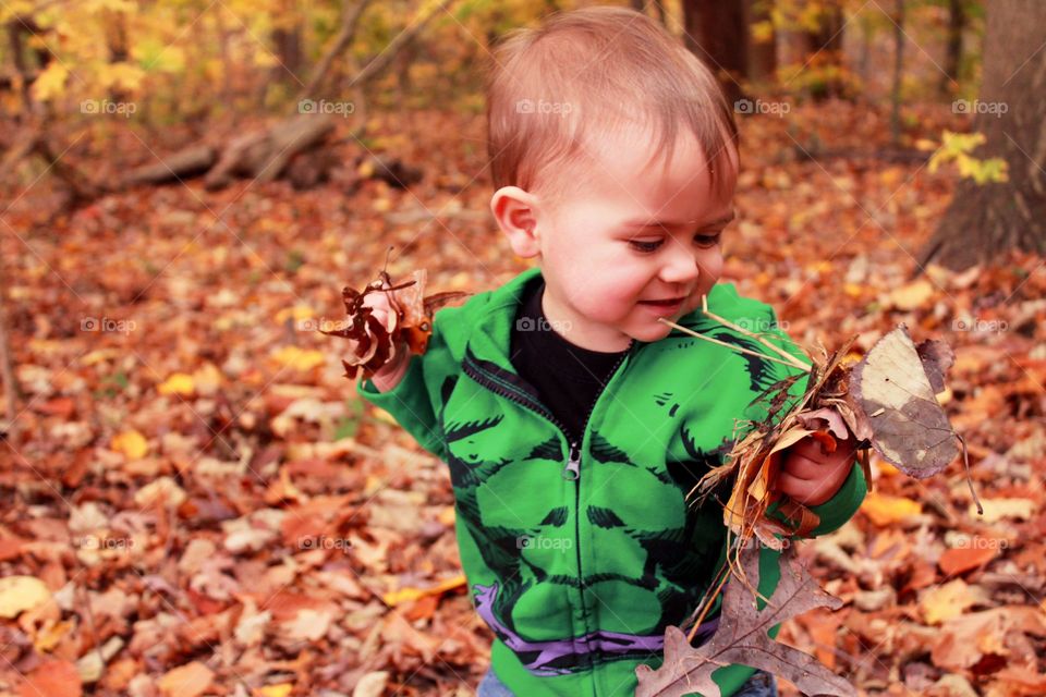 Toddler boy holding autumn leaves