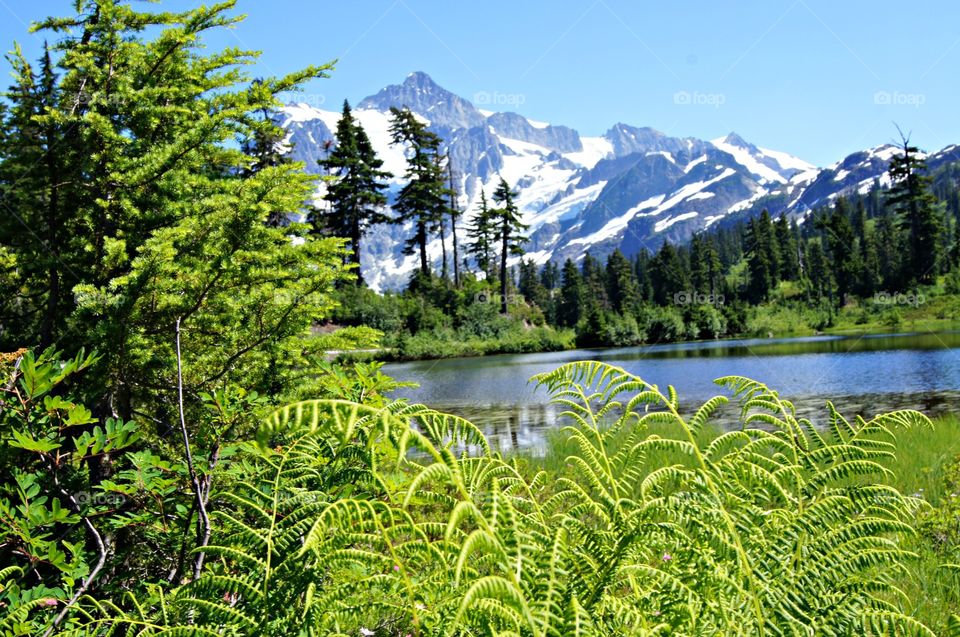 View of mountain range during winter