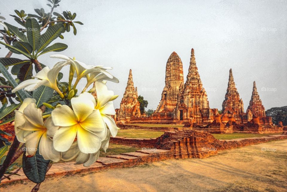 Chaiwattanaram Temple Ayudthaya  

