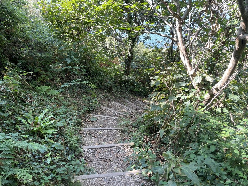 Steps down to the beach 