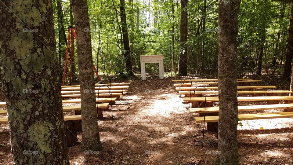 outdoor wedding in the woods