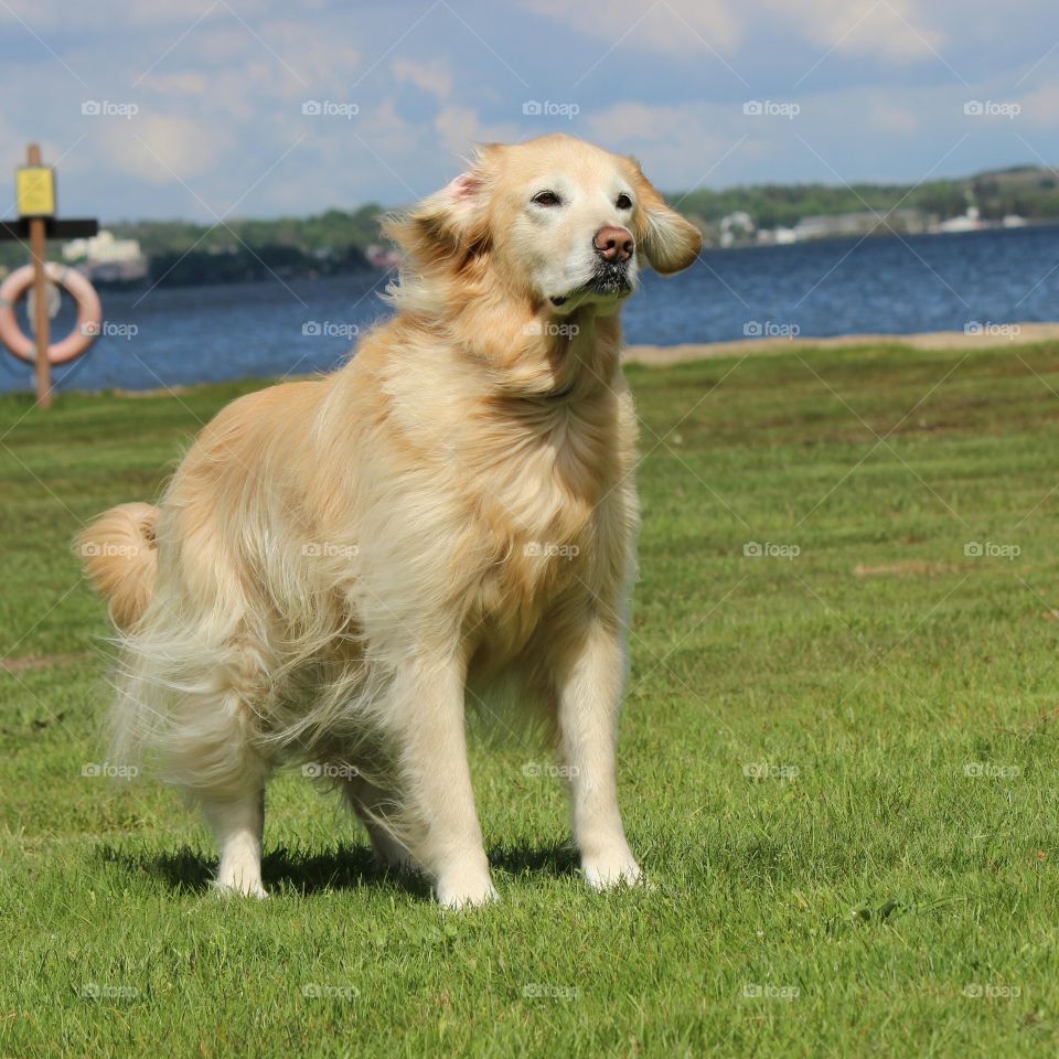 Feeling the lake breeze on a summer day