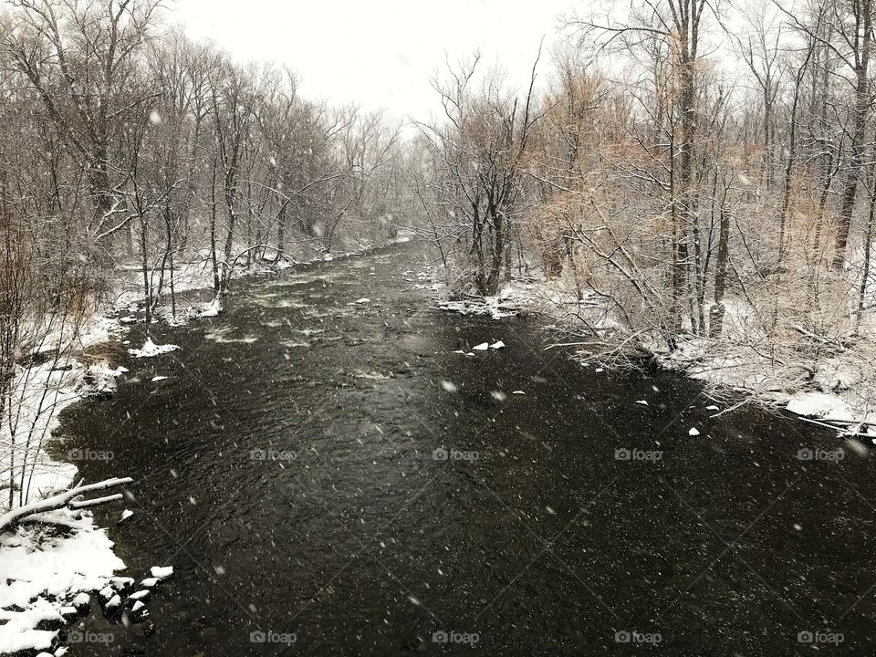 Ellicott creek
