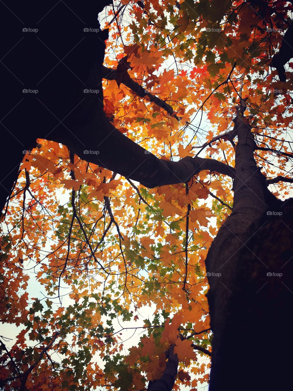 changing perspective