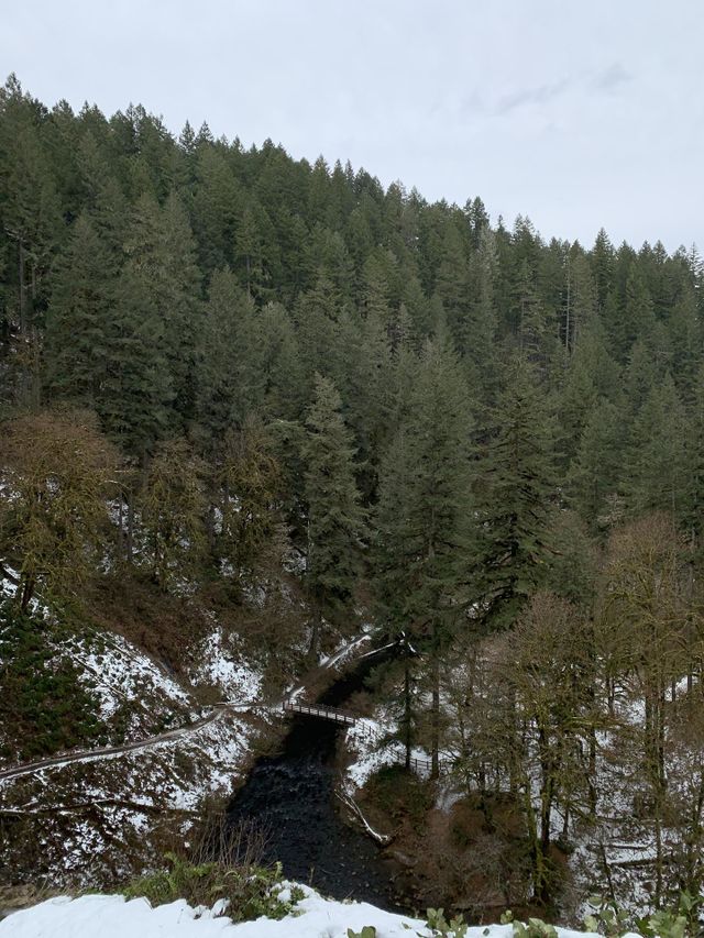 Viewpoint of bridge 