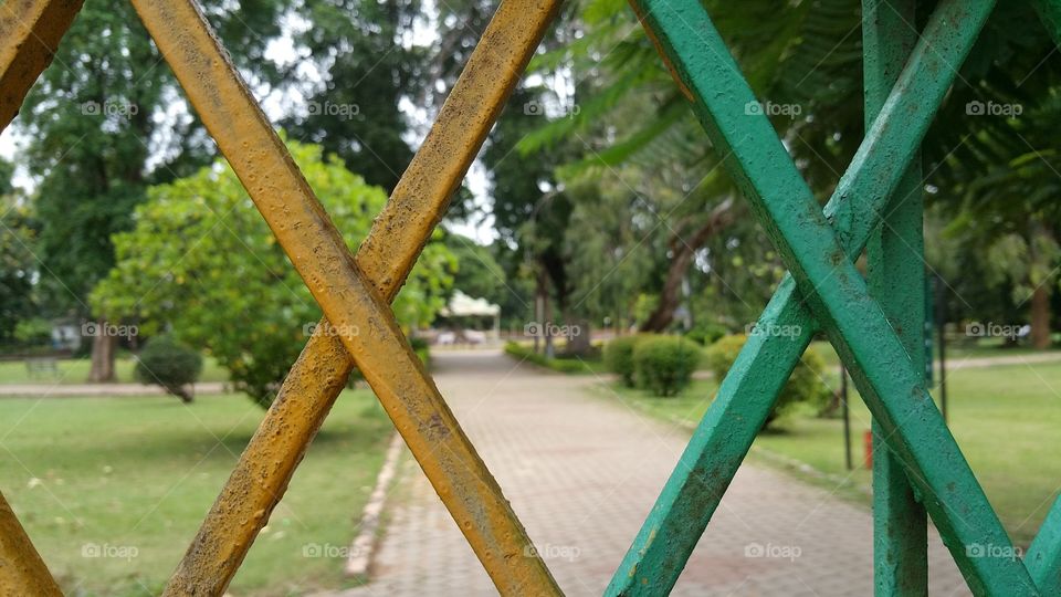 yellow green gate pattern