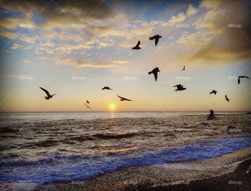 Even winter morning photo of Odessa’s shore at 7:30am doesn’t differ from any summer ocean’s one 🌊🌅