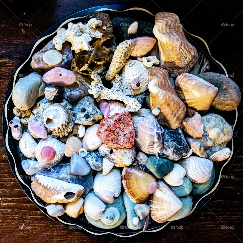 Sea treasure
