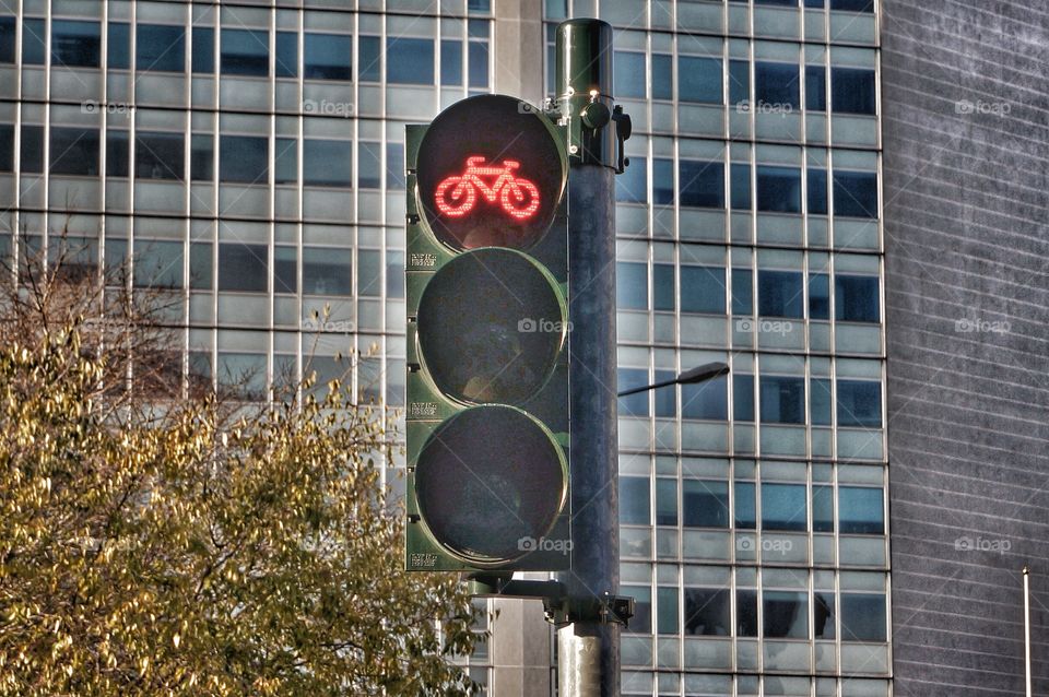 Traffic Signal