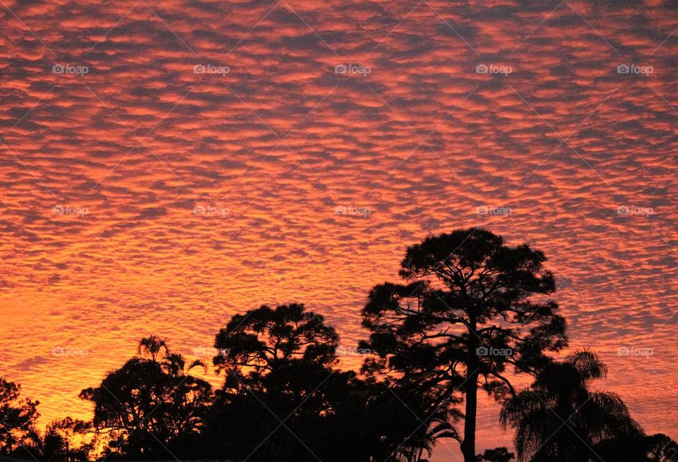 Sunset in Boynton Beach, FL 4