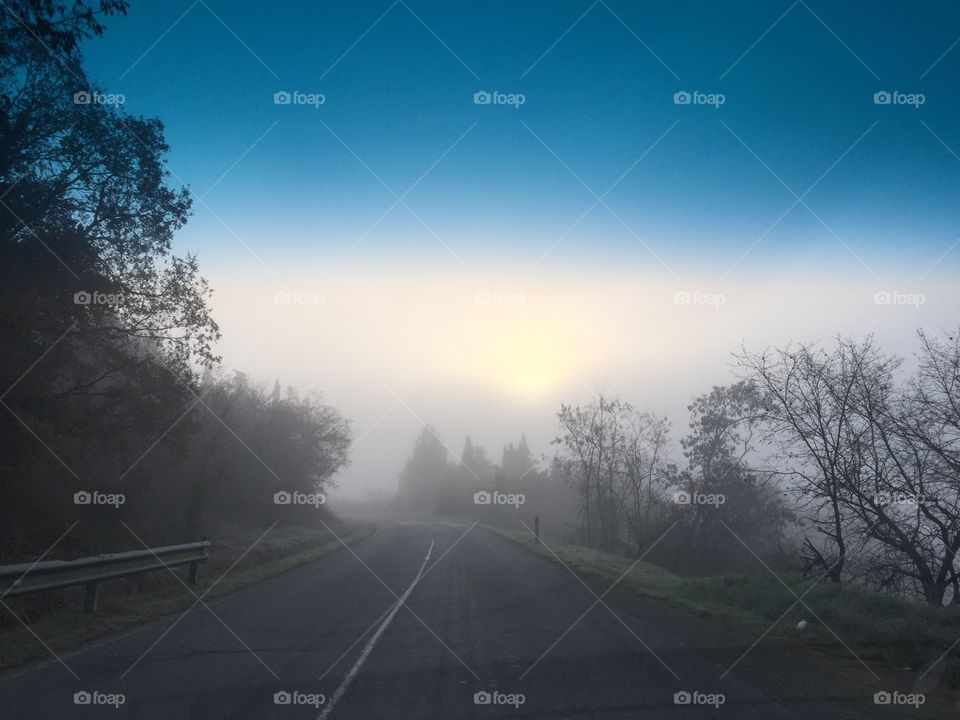 Road, Landscape, Fog, Tree, Dawn