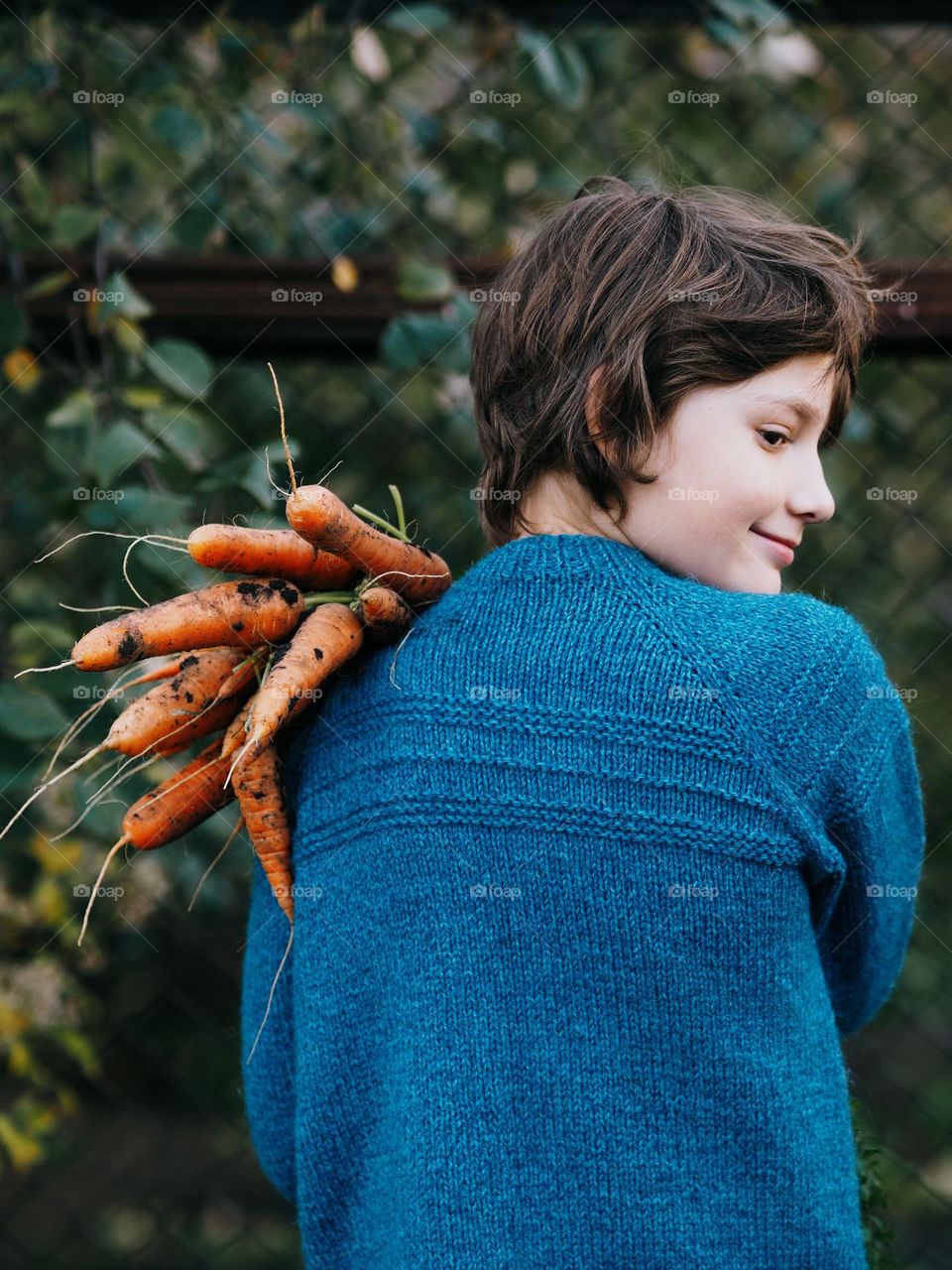 Cute little boy wearing blue knitted sweater holding bunch freshly carrot in autumn garden, smiling, looking away, portrait of child 