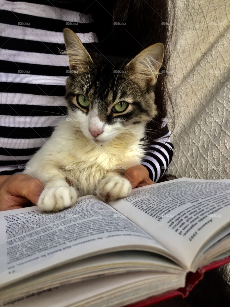 Lectura con mi cat