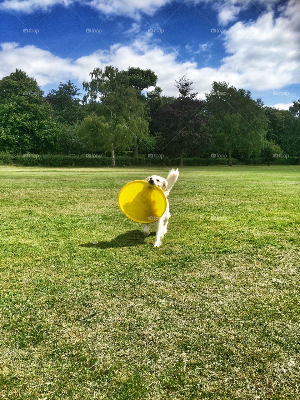 Zoe having fun. Playtime at the park 
